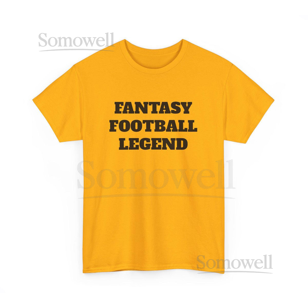 Fantasy Football Lover's Gift - Declare Your Legendary Status with This Tee_388