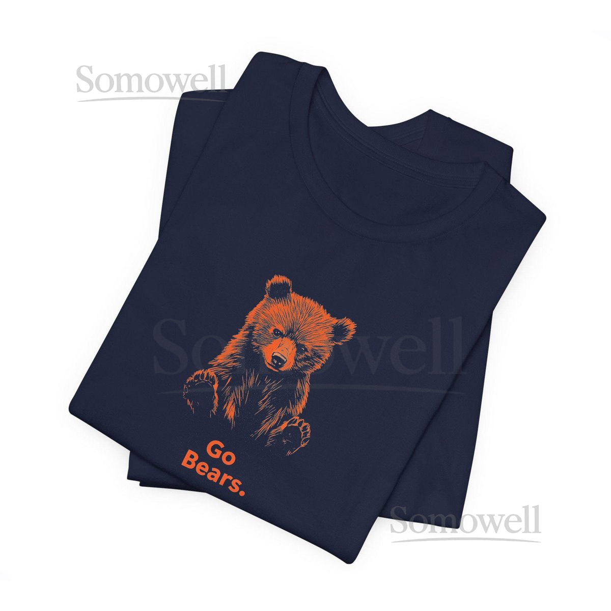 Go Bears Vintage Tee - Retro Chicago Bears Shirt_657