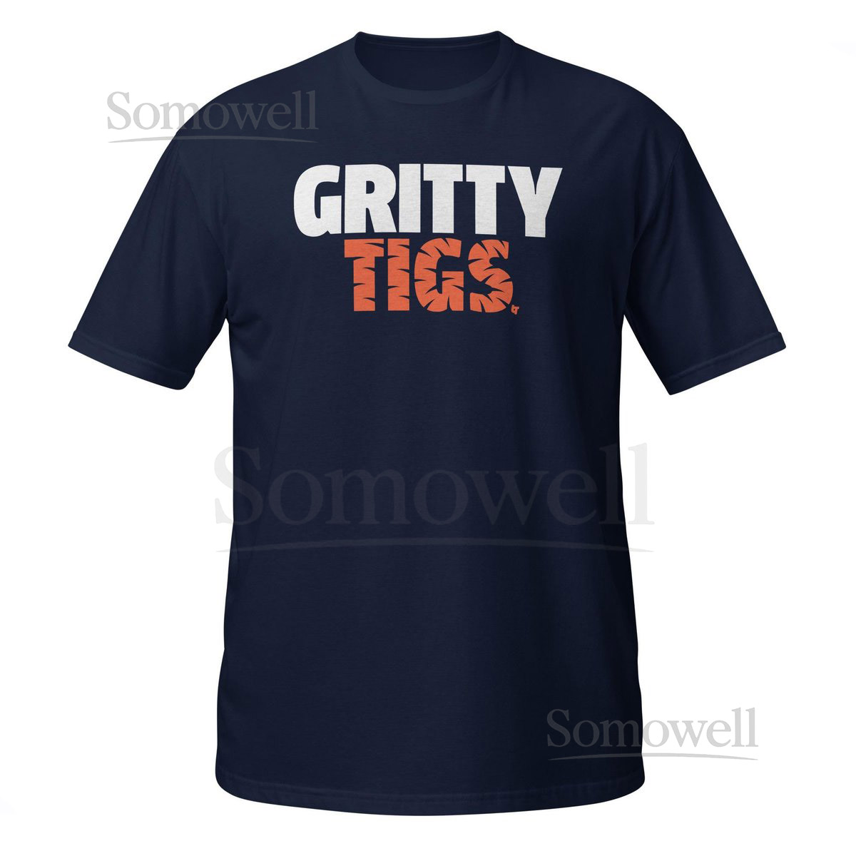 Detroit Baseball Gritty Tigs_127