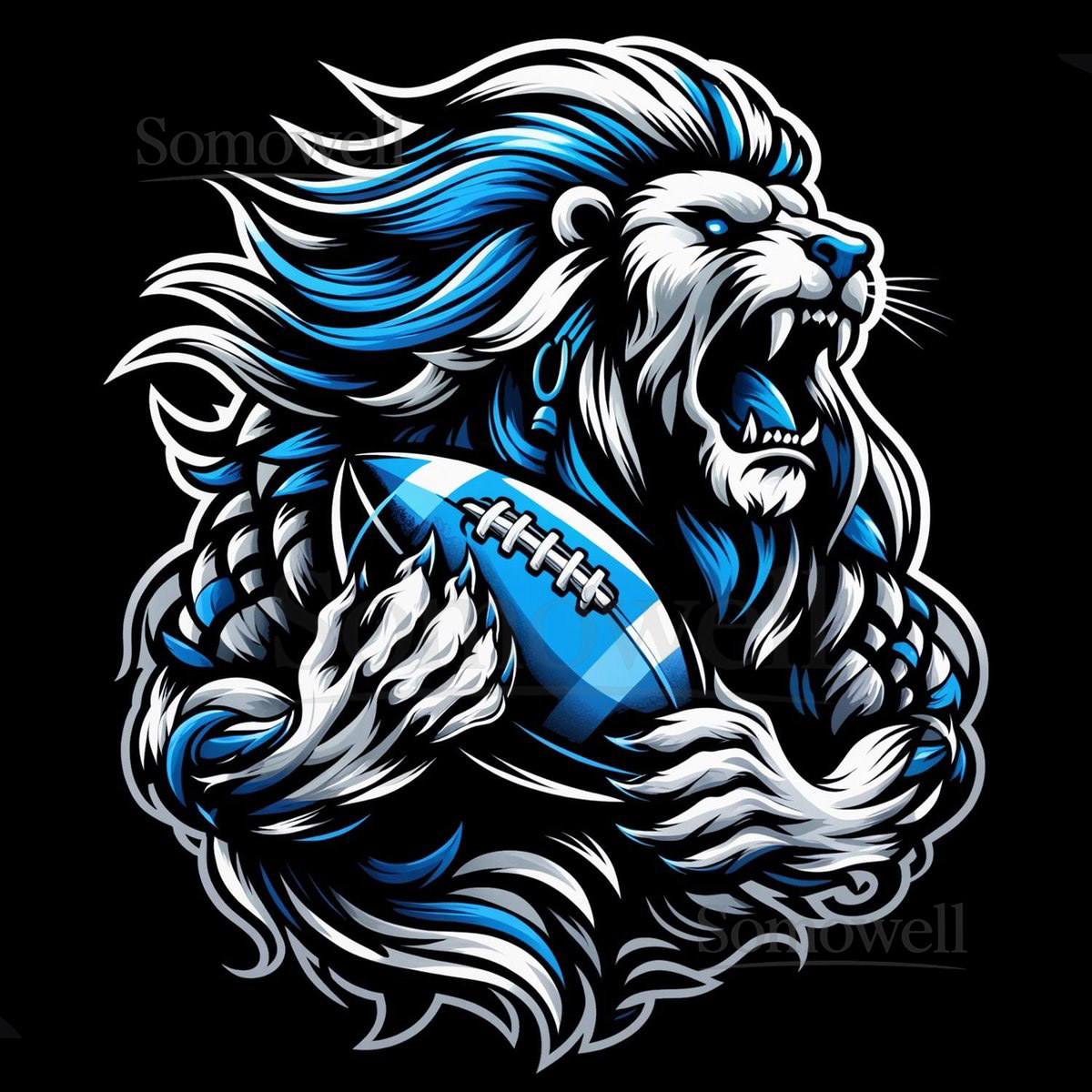 Detroit Lions Football T-Shirt_239