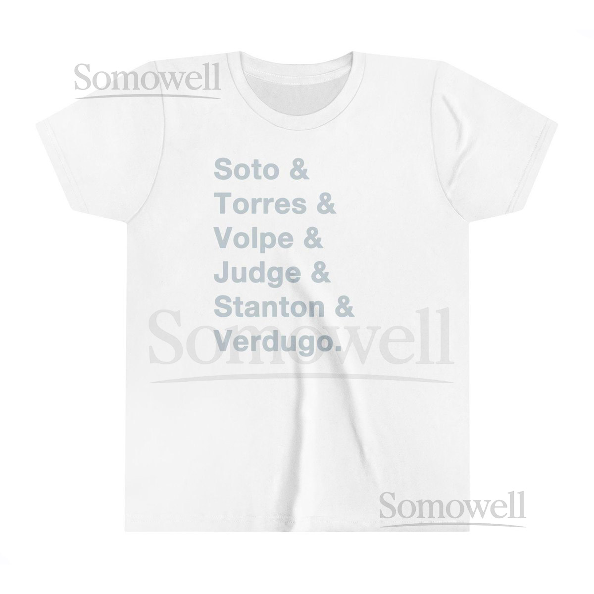 NY Yankees 2024 Roster Youth T-Shirt - Gray Baseball Memorabilia_49