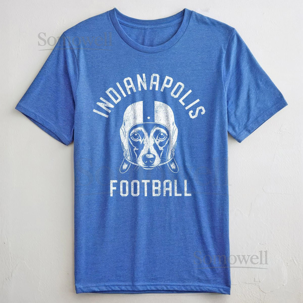 Indianapolis Football Dachshund T-Shirt Dog Lover Gift for Indianapolis Colt_494