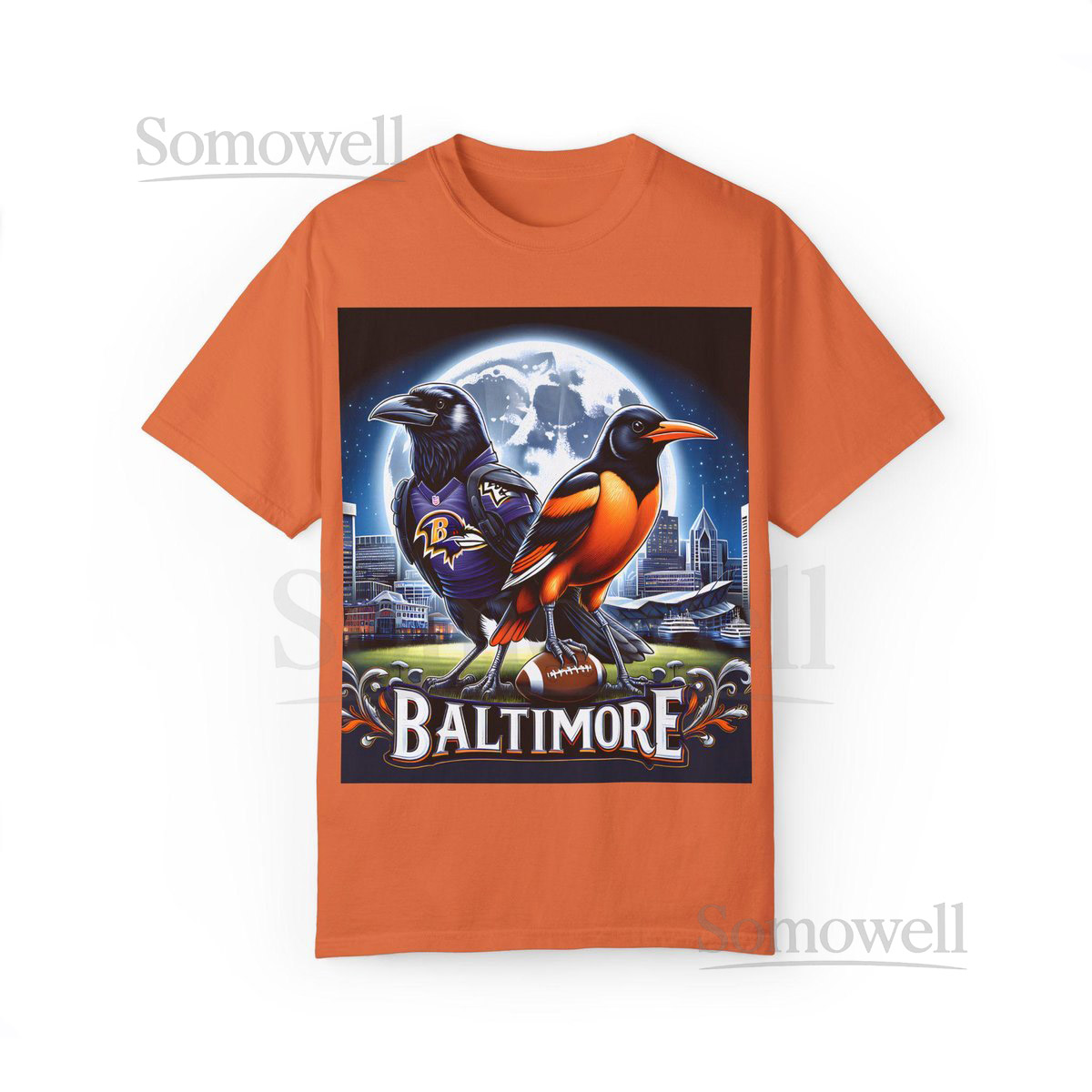 Baltimore Ravens Orioles T-shirt Baseball Football Fan Gift Baltimore Birds Tee Unisex Garment-Dyed Shirt Sports Apparel Team Spirit_153