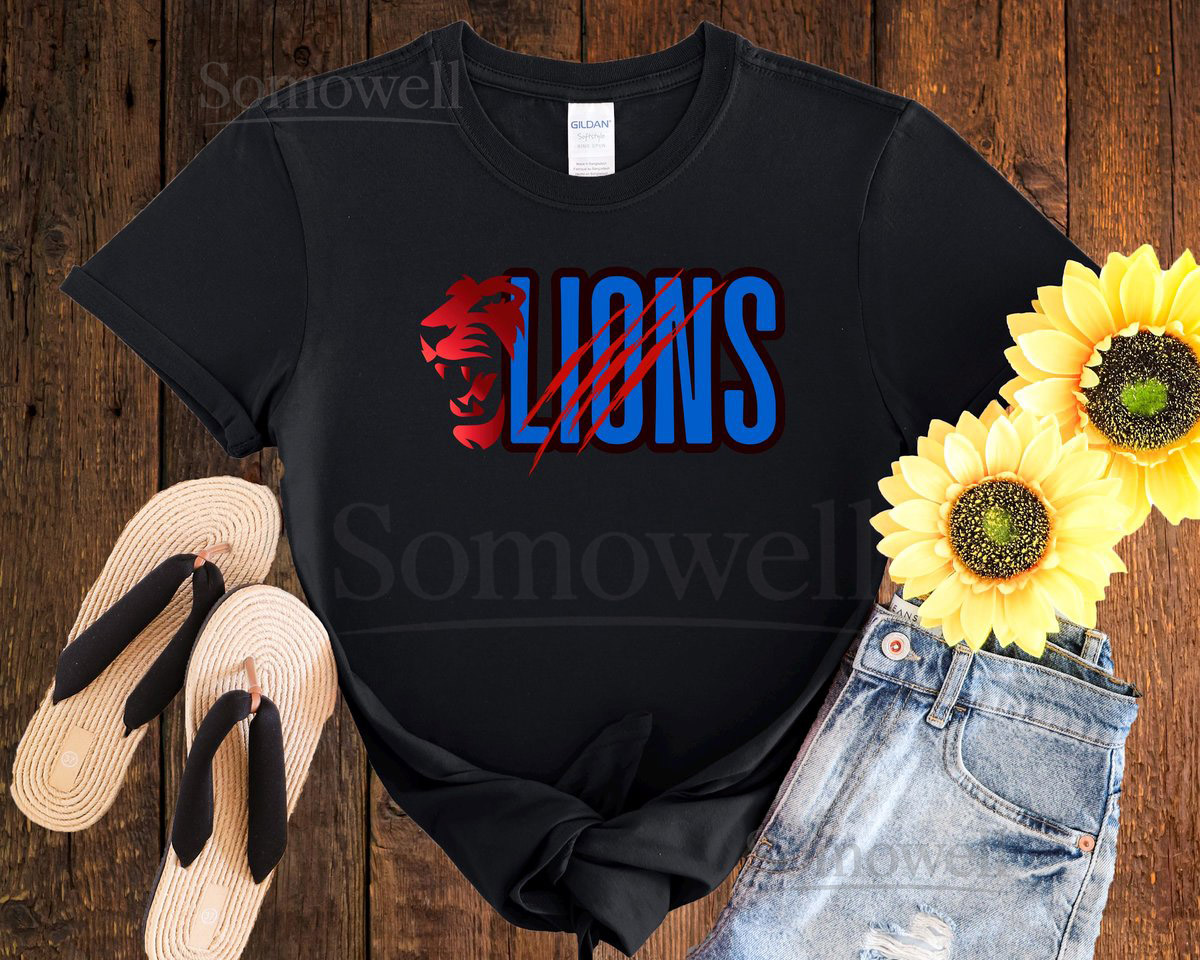 Detroit Lions Shirt Football Shirt Sports Tee Football Fan Club Tshirt Detroit Lions Football_284