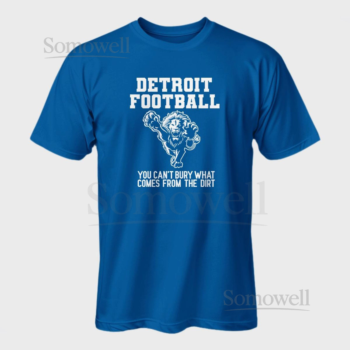 Detroit Lions You can't bury what comes from the Dirt Detroit Football_323