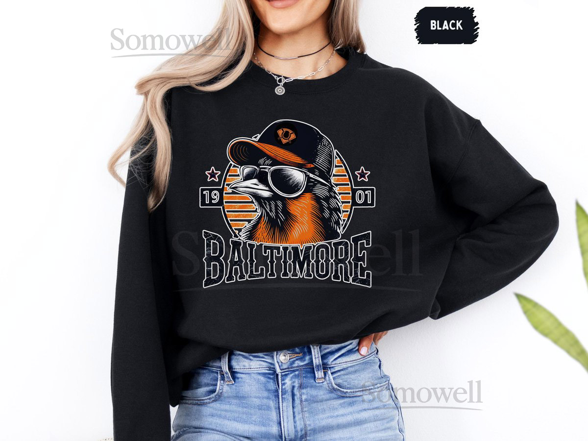 Baltimore Baseball Sweatshirt Sports Team Apparel Baseball Fan Gift Oriole Unisex Crewneck Jumper Fan Clothing Maryland Baseball Merch_42
