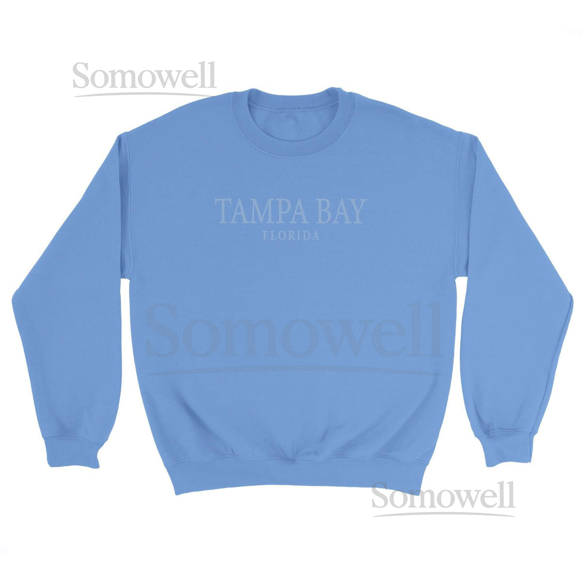 Tampa Bay Florida Sweatshirt Beach Sweater Gildan 18000_20