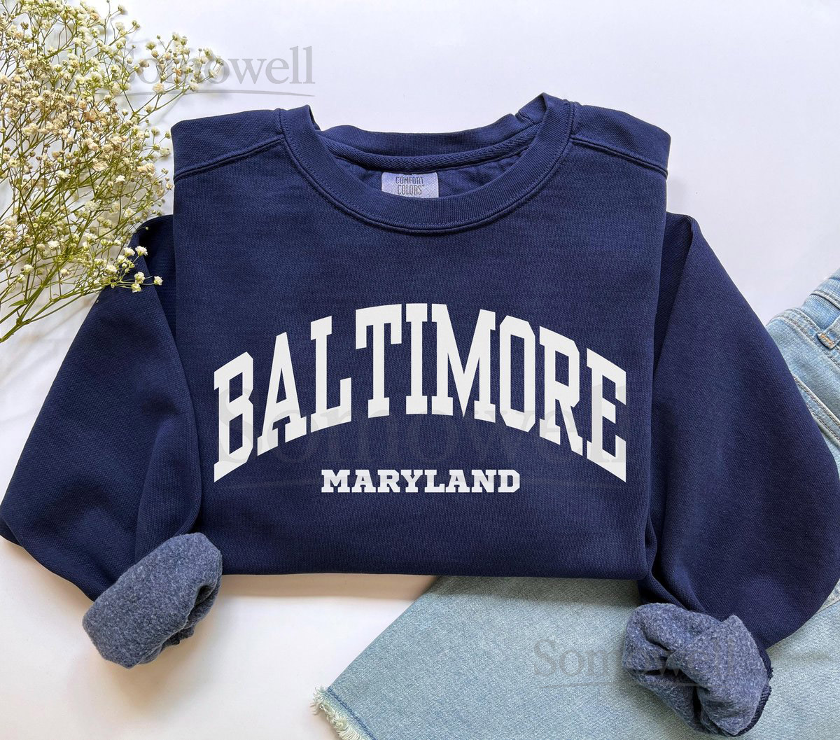 Baltimore Maryland Sweatshirt Comfort Colors Baltimore Shirt Preppy Baltimore MD Crewneck Moving to Maryland Vacation Trip Souvenir Gift_83