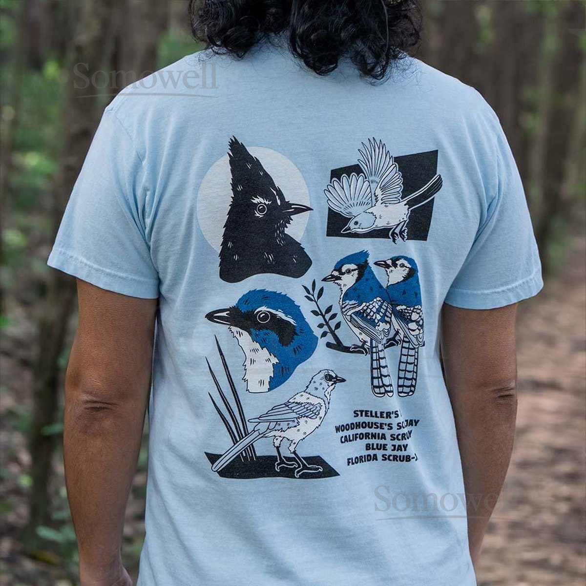 Blue Jays of North America Birding T-Shirt Birdwatching Gift Comfort Colors Tee_76