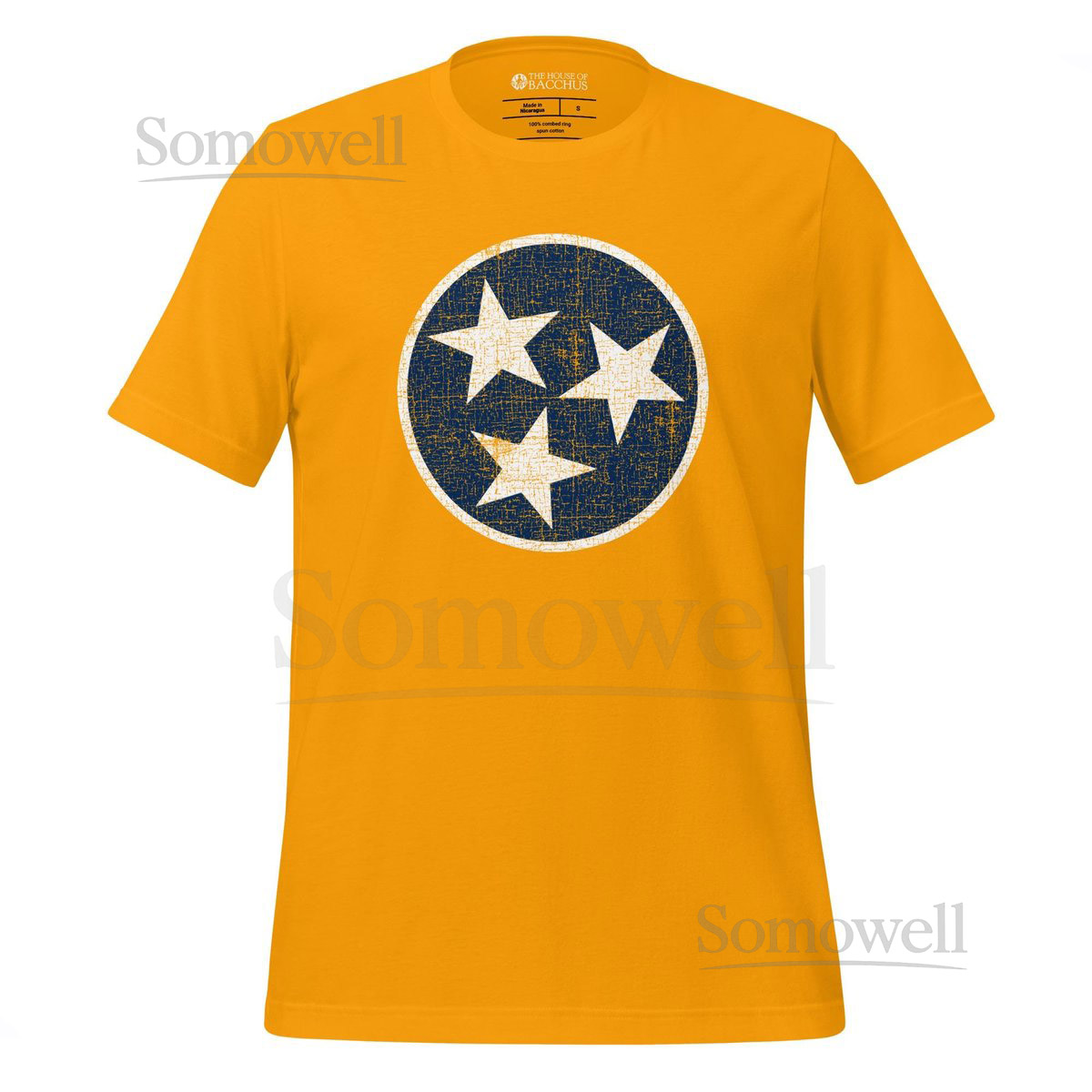 Vintage Distressed Tennessee Nashville Tri-Star T-Shirt Unisex State Pride Tee Southern Apparel_717