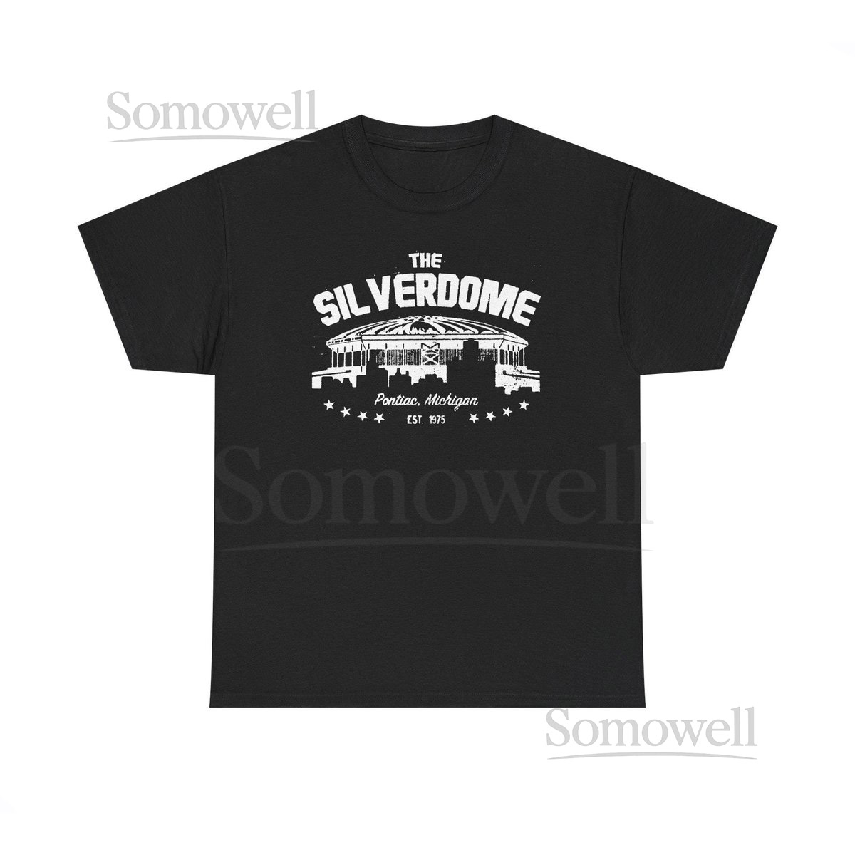 Throwbackmax The Silverdome 1975 Football Retro - Heavy Cotton Tee_266