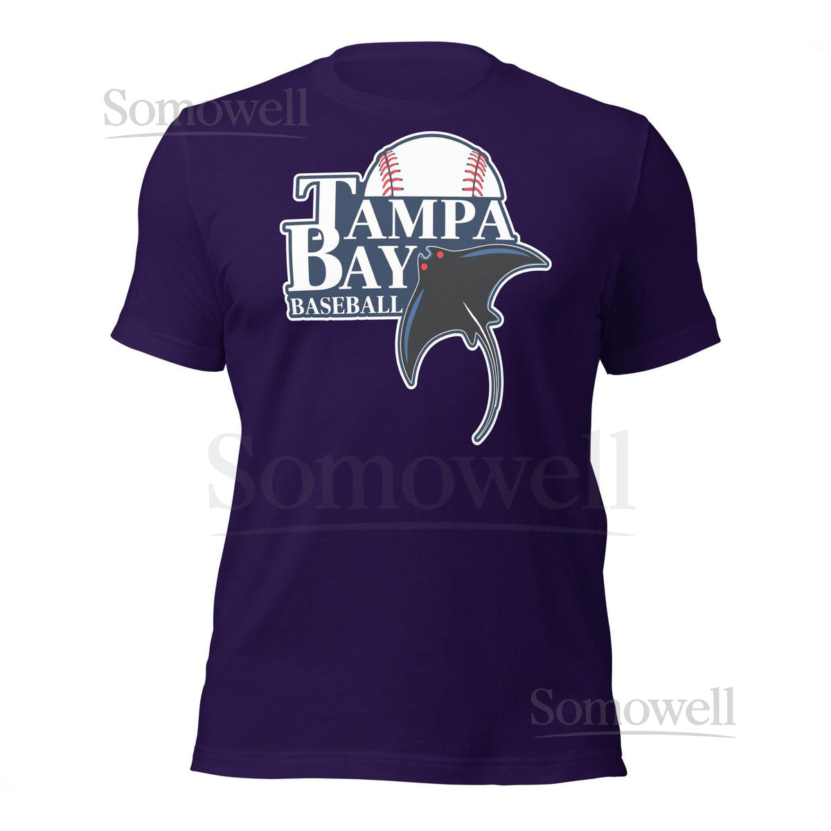 Vintage Tampa Bay Baseball T-Shirt Retro Sports Fan Apparel_533