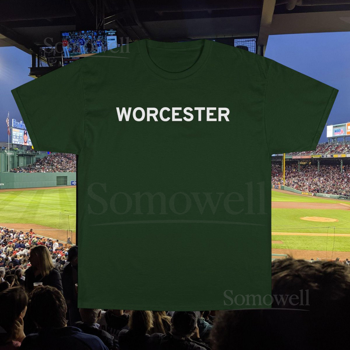 Champion T-Shirt Worcester Red Sox Fenway Tribute Tee Baseball Fan Gift Sports Team Shirt Red Sox Apparel City Connect_249