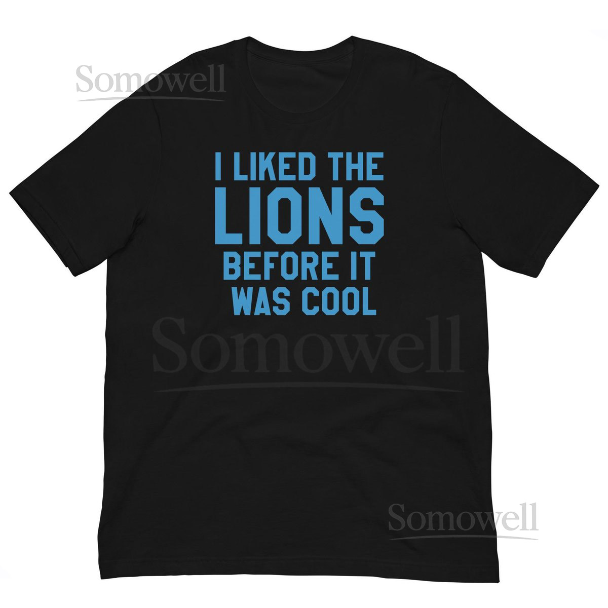 Detroit Lions Football Shirt Funny quotI Liked the Lionsquot Fan Gift_229