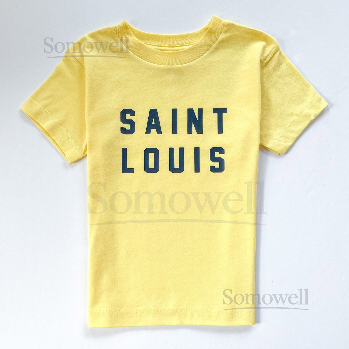 SAINT LOUIS Kids Tee - St Louis T Shirt - SLU Tops and Sweatshirts - Tower Grove Park Print - Custom StL Gifts - Blues Hockey Cardinals Fan_456