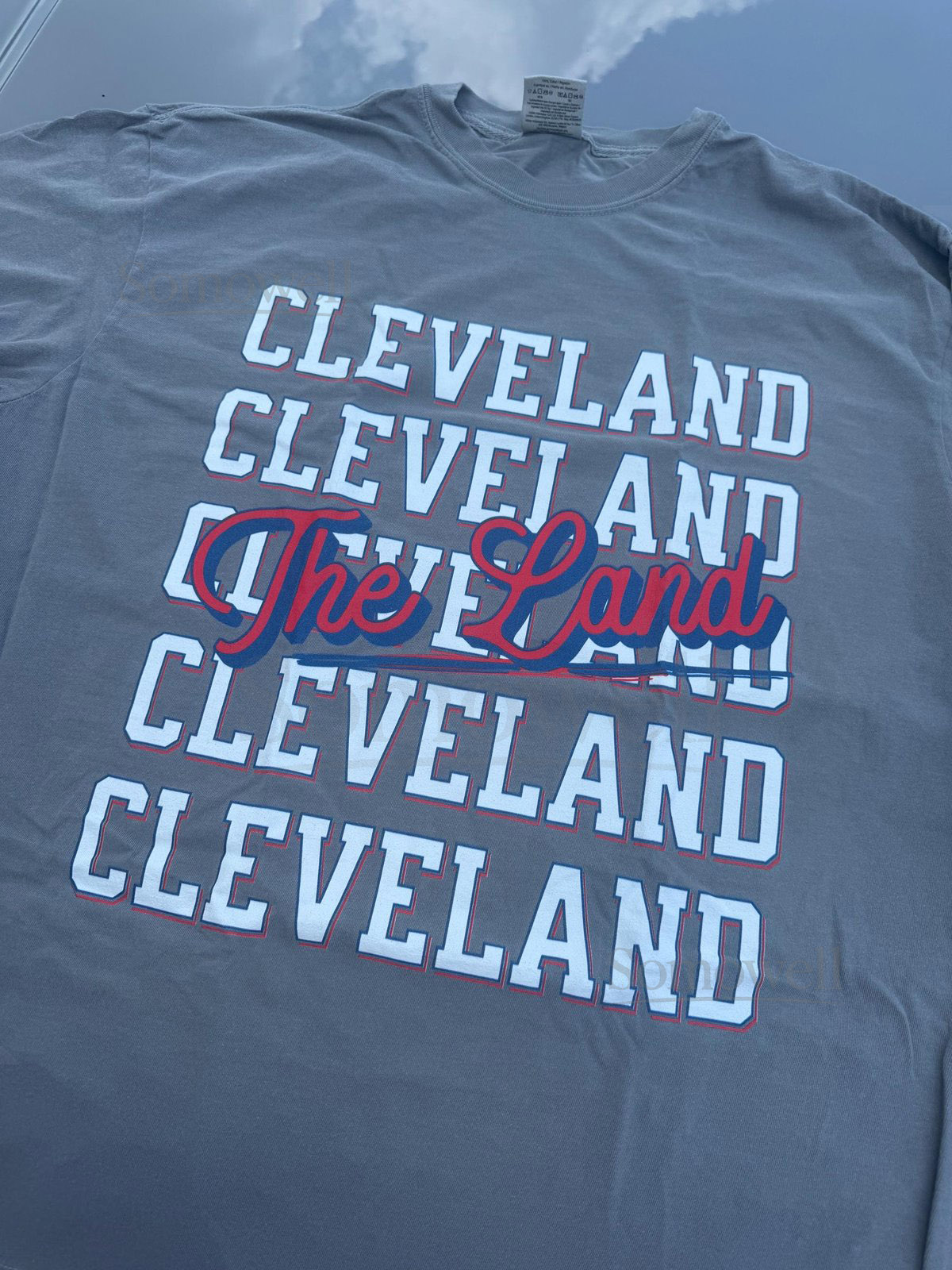 Cleveland The Land T-Shirt Retro Unisex Comfort Tee for Midwest Pride Vintage Cleveland Shirt_345