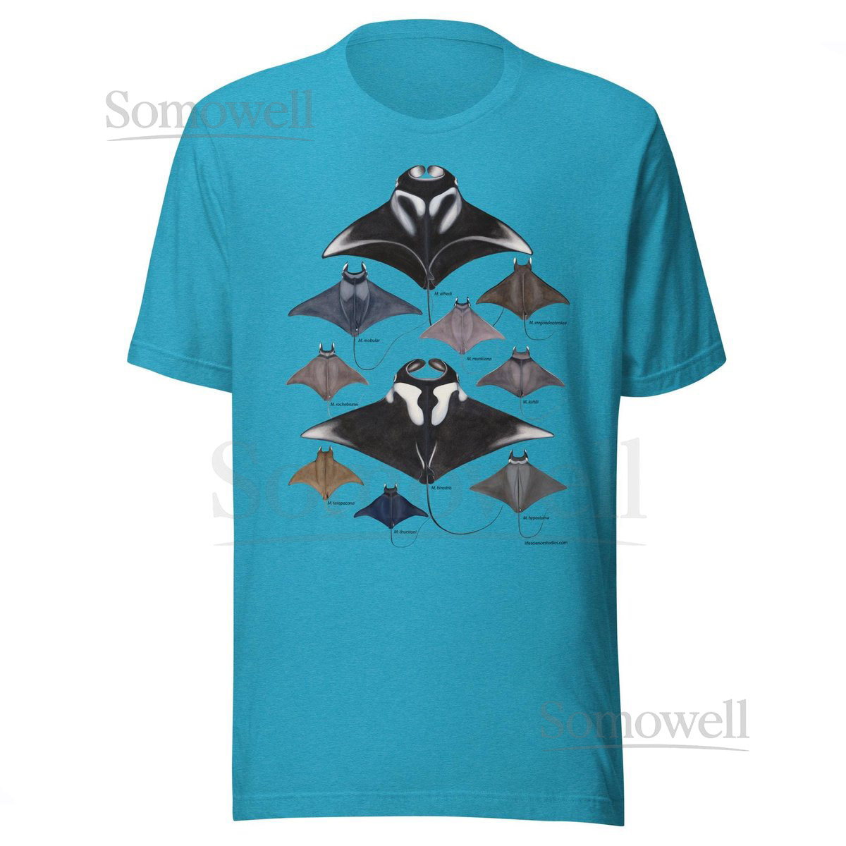 Manta Rays and Devil Rays T-Shirt_603