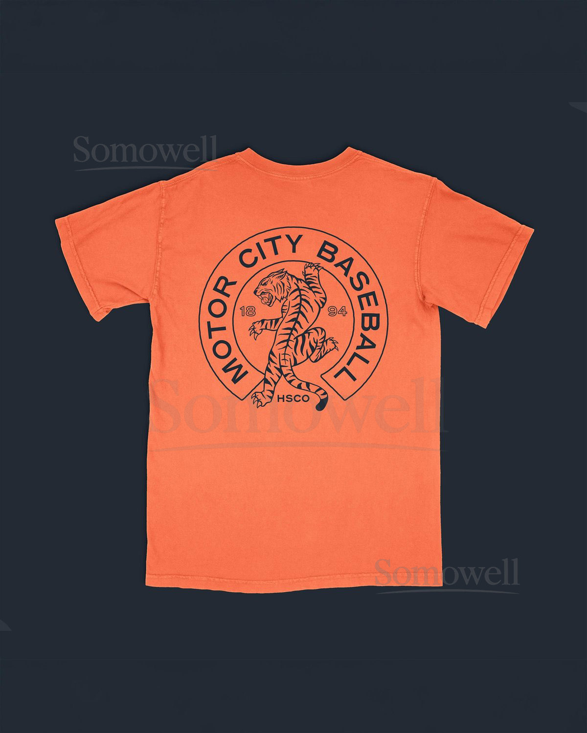 Motor City Baseball Comfort Colors Detroit Tigers Vintage Graphic T-Shirt_669