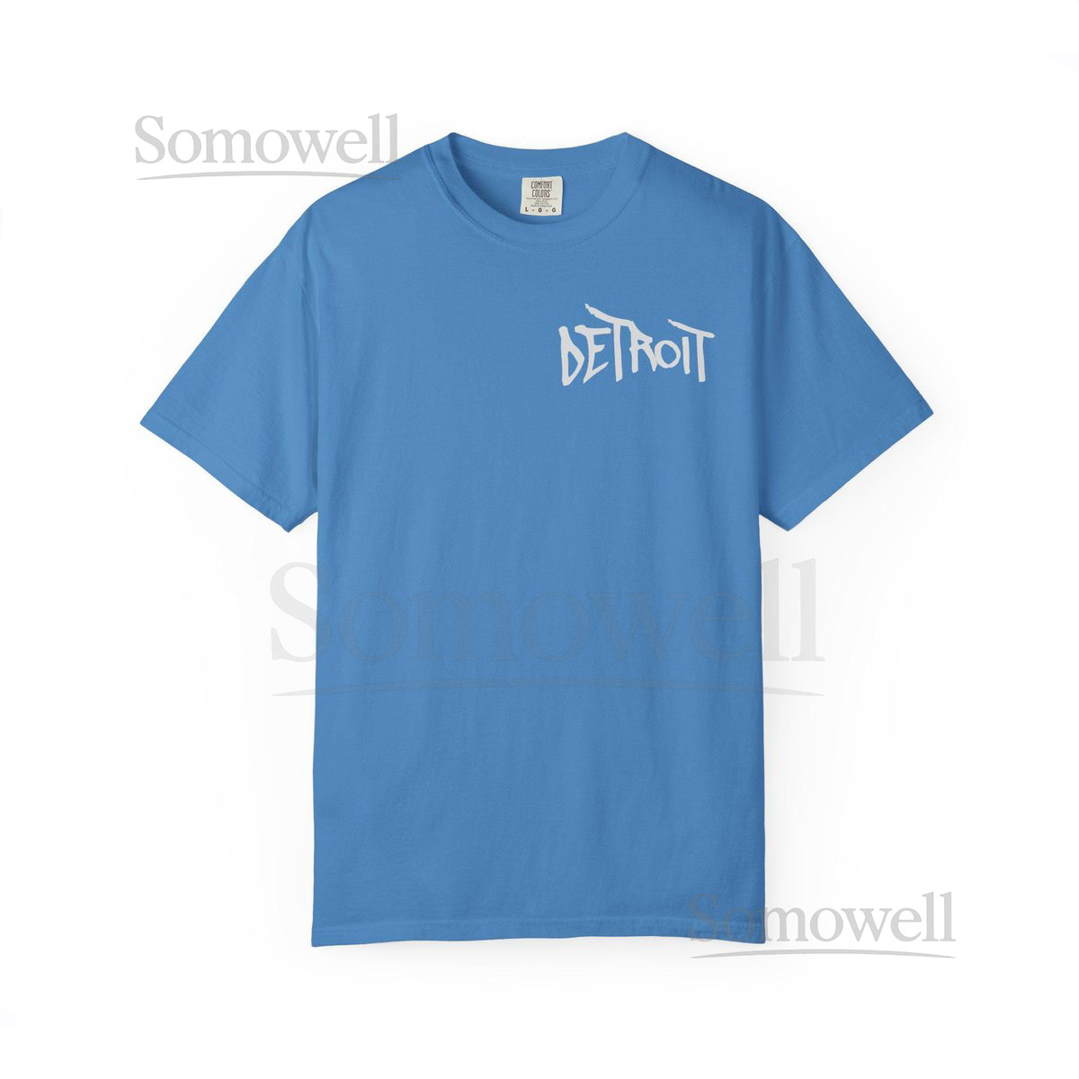 Detroit Lions Detroit Lions Shirt Detroit Lions T-Shirt Detroit Lions Vintage Michigan Jersey Detroit Lions Football Detroit Football Motown_214