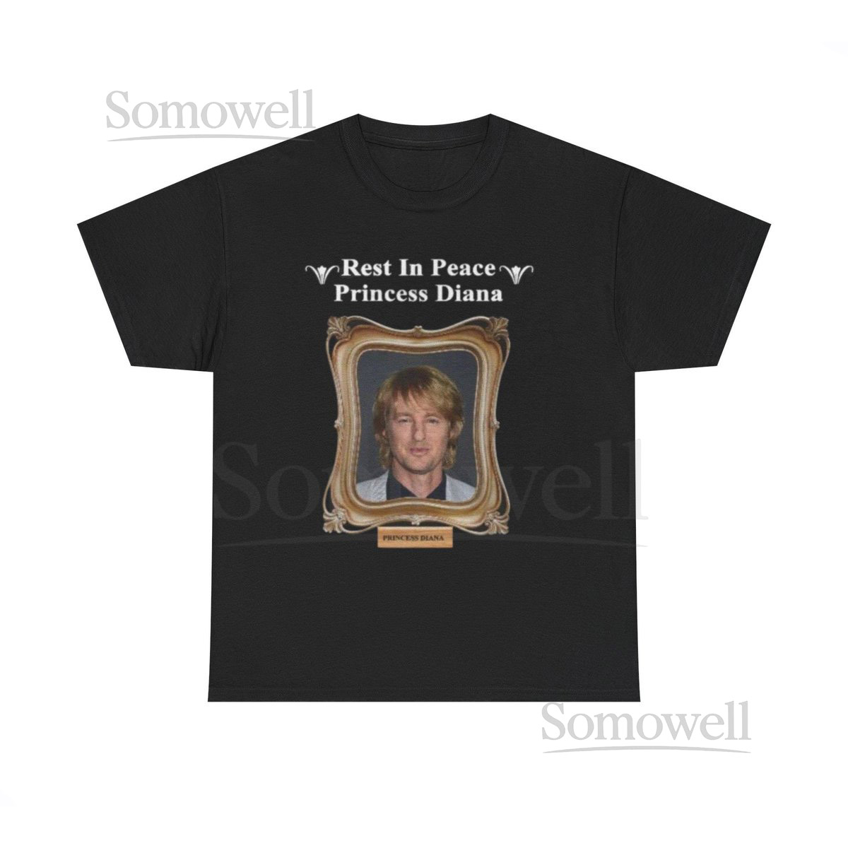 Funny Meme TShirt - Rest In Peace Princess Diana Owen Wilson Shirt Joke Tee Apparel Gift Viral Meme Tee Funny Tee Shirt_174