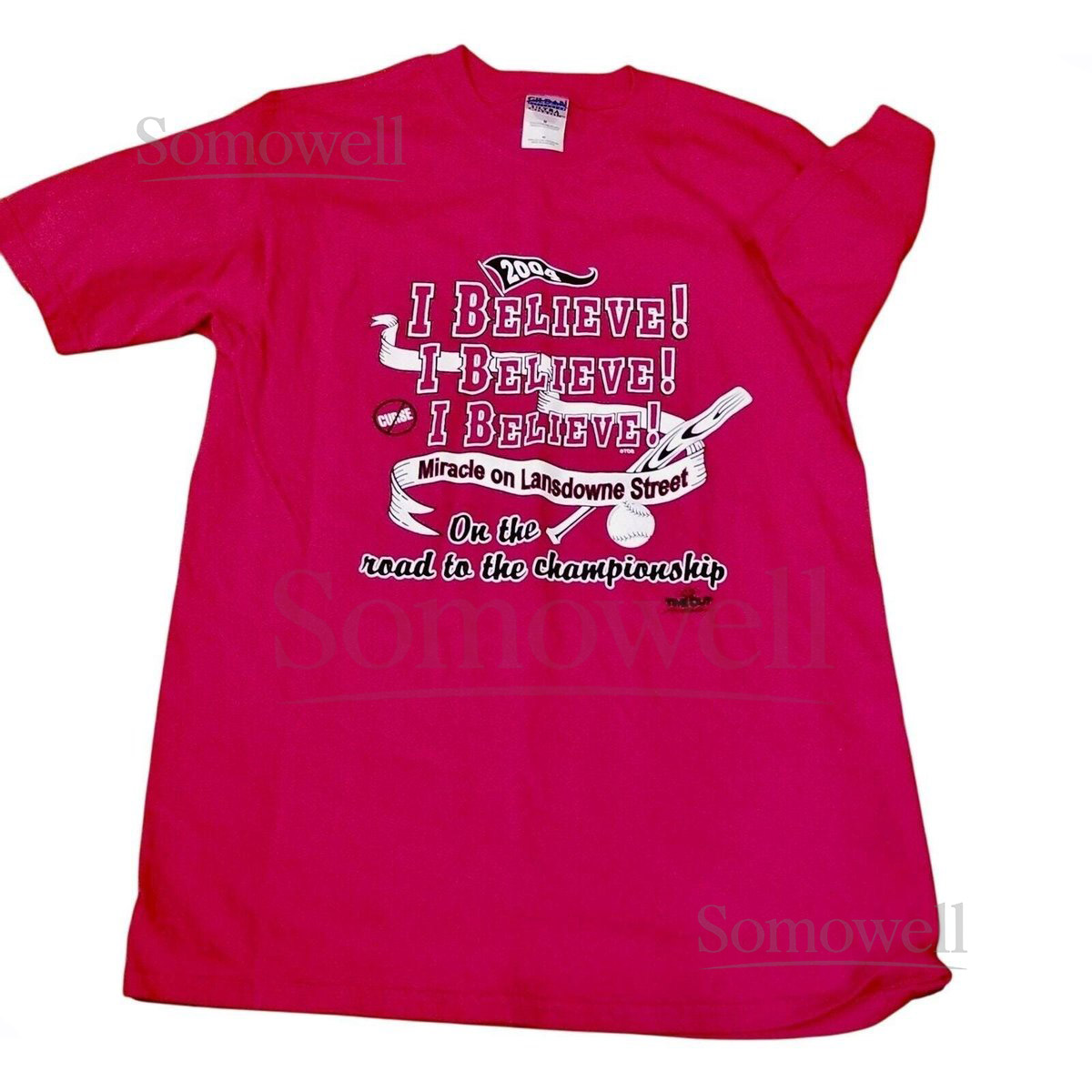 Vintage MLB Boston Red Sox 2004 World Series Tshirt Mens L_705