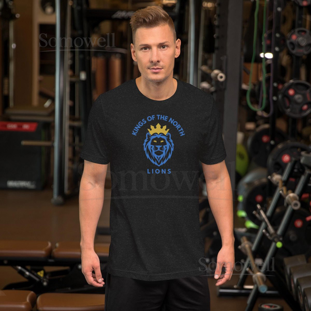 Detroit Lions North Unisex t-shirt_273
