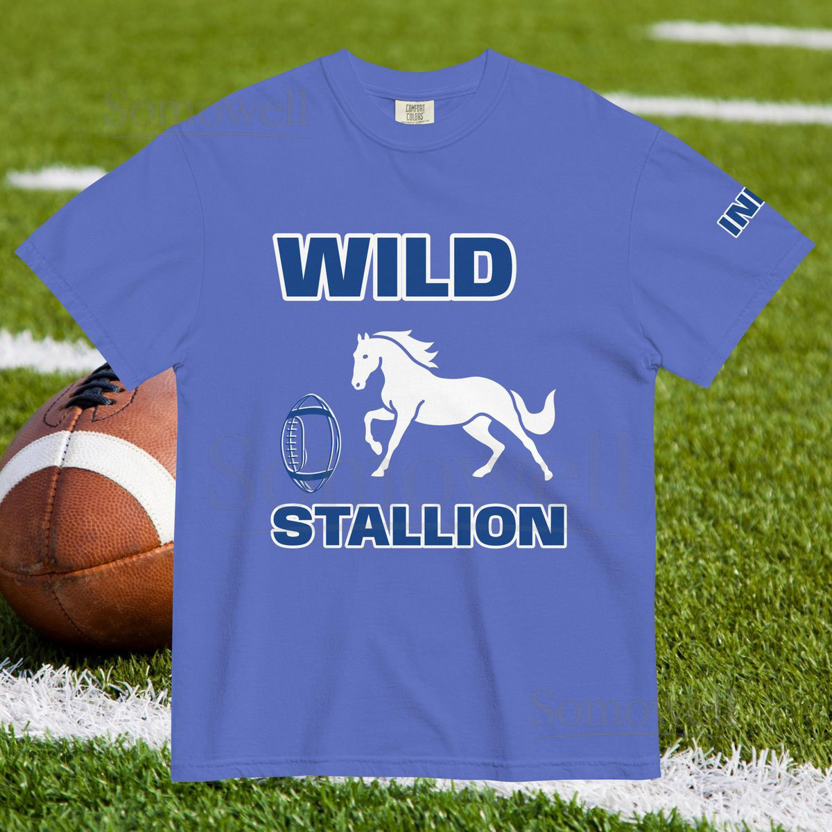 Indianapolis Football T-shirt IC Wild Stallion Unisex heavyweight t_529