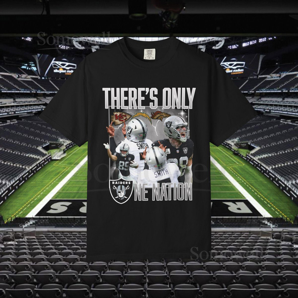 Raiders Fan T-Shirt Unisex Garment-Dyed US Cotton Tee_682