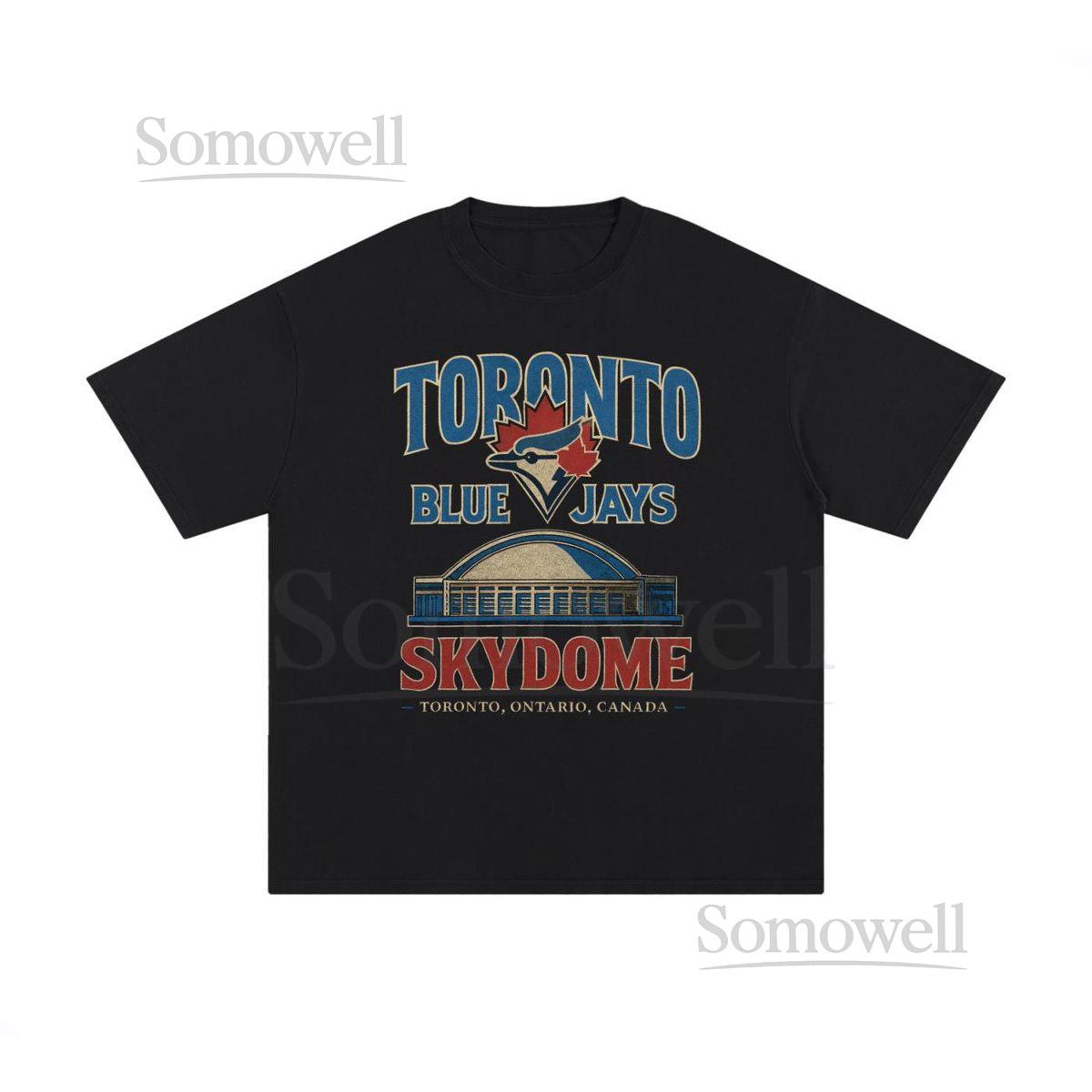 Vintage-Style Toronto Blue Jays SkyDome T-Shirt Retro Baseball Graphic Tee_779