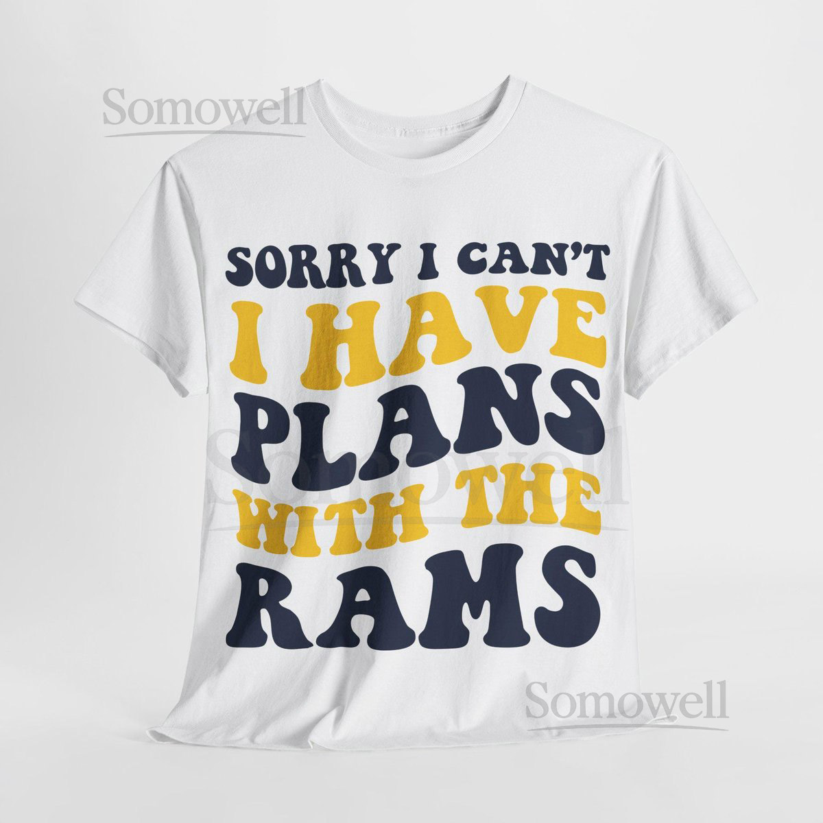 Sorry I Can't I Have Plans With Los Angeles Football Shirt Rams Fan Tee Blue and Gold Game Day Top_747