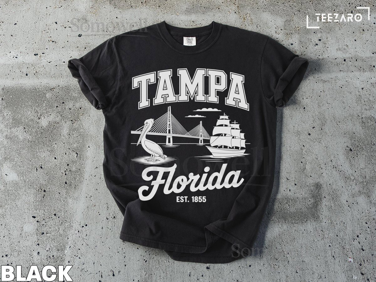 Vintage Tampa Florida T-Shirt Sunshine Skyway Pelican Sailing Ship_540