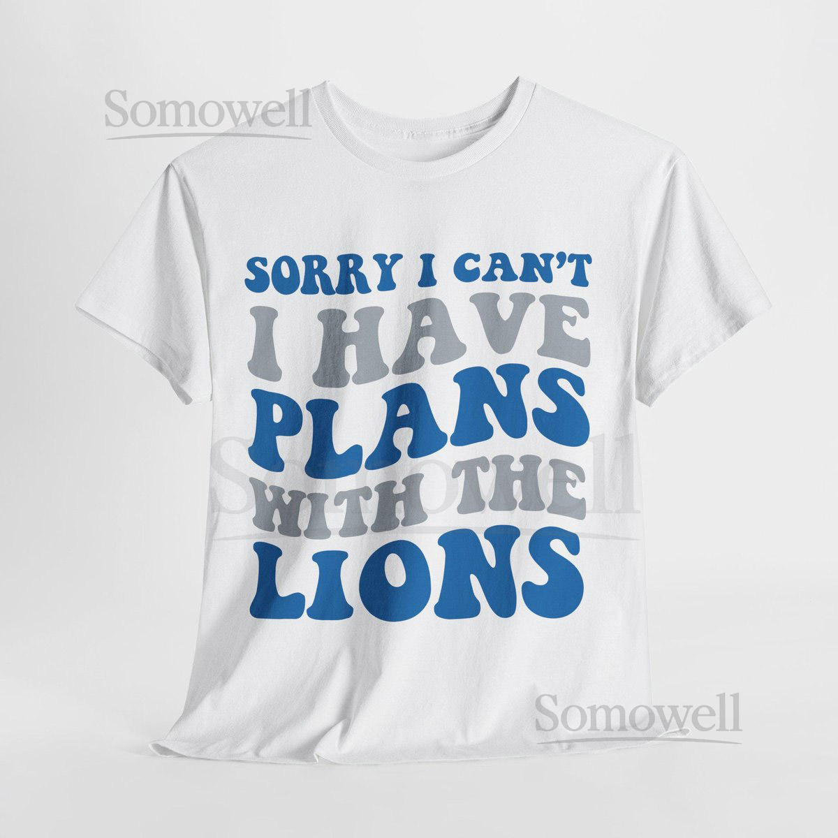 Sorry I Can't I Have Plans With Detroit Football Shirt Lions Fan Tee Blue and Silver Game Day Top_652
