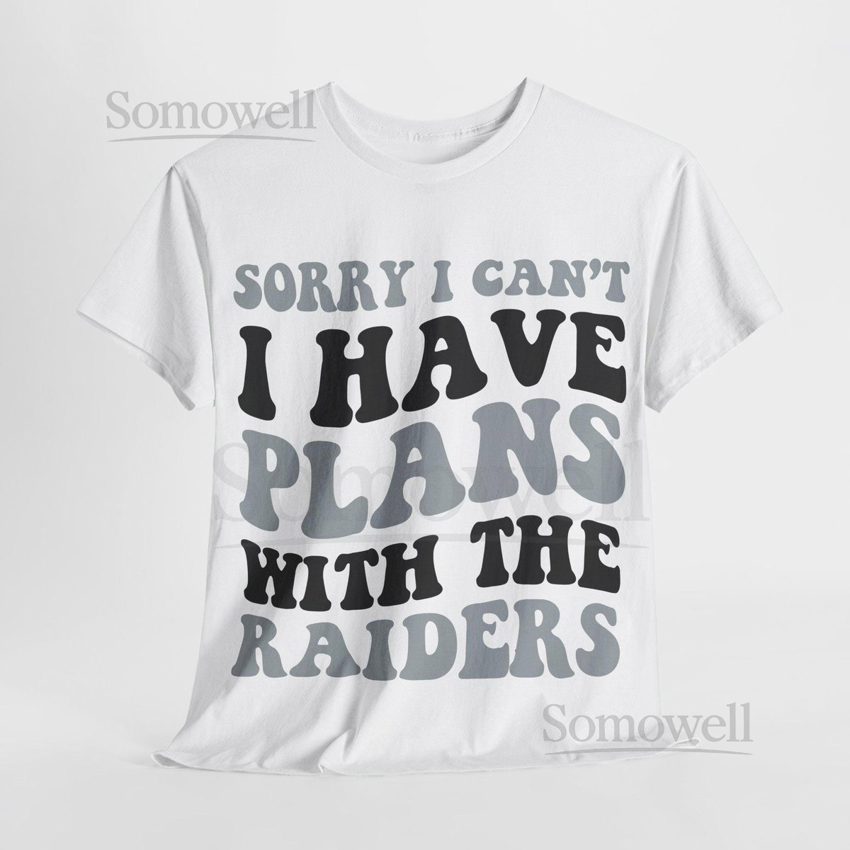 Sorry I Can't I Have Plans With Las Vegas Football Shirt Raiders Fan Tee Silver and Black Game Day Top_746