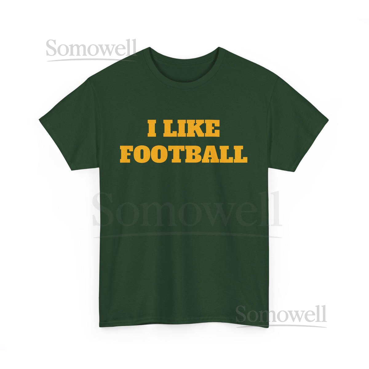 Funny Green Bay Football T-Shirt for the 'Basic' Sports Fan - I Like Football_345