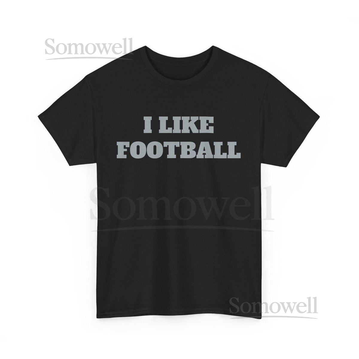 Funny Las Vegas Football T-Shirt for the 'Basic' Sports Fan - I Like Football_161