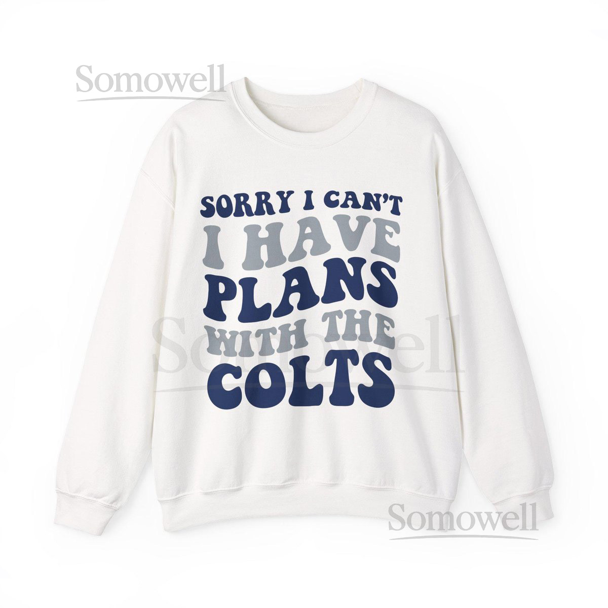 Sorry I Can't I Have Plans With Indianapolis Football Sweatshirt Blue and White Fan Pullover Colt Fans Ga_832