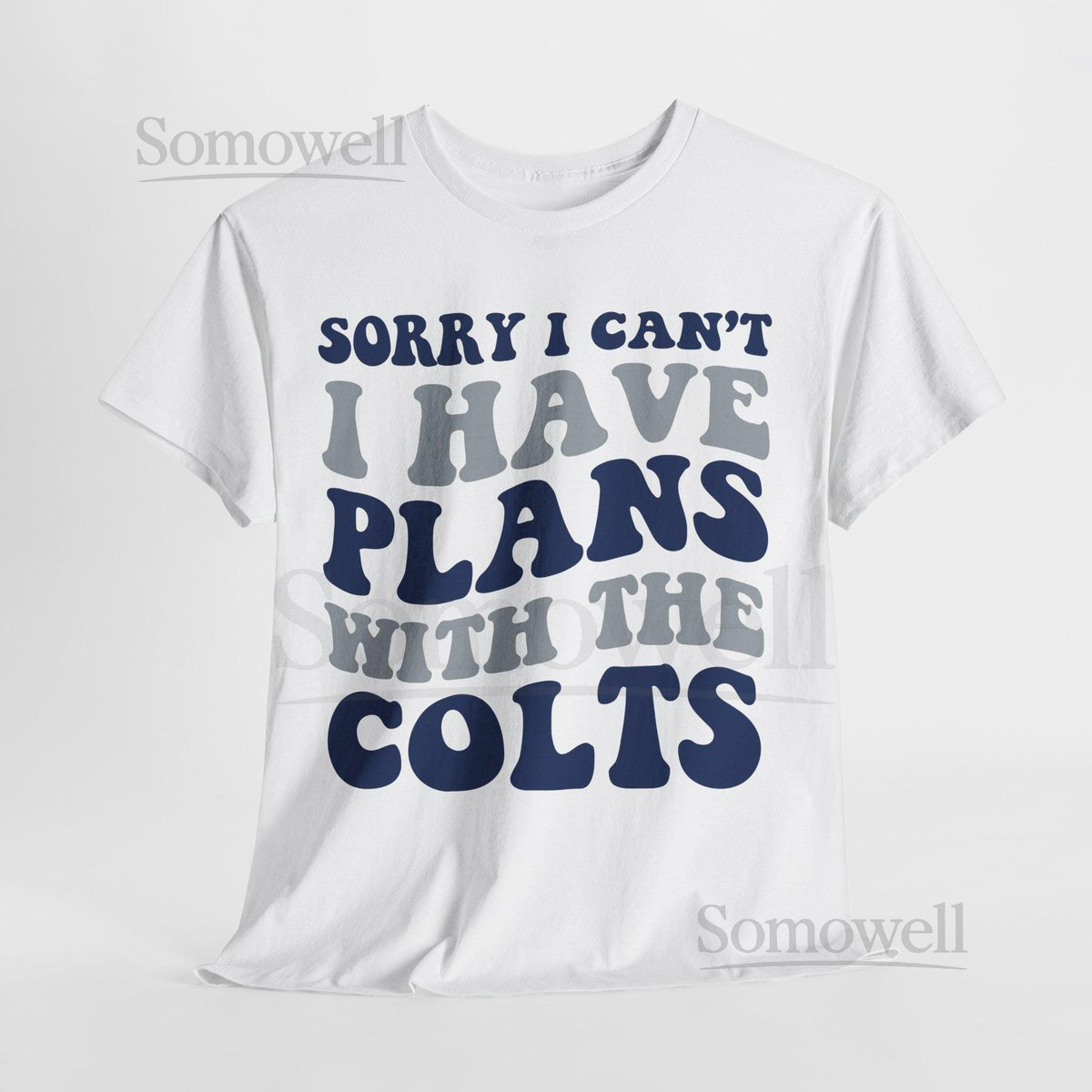 Sorry I Can't I Have Plans With Indianapolis Football Shirt Colts Fan Tee Blue and White Game D_831