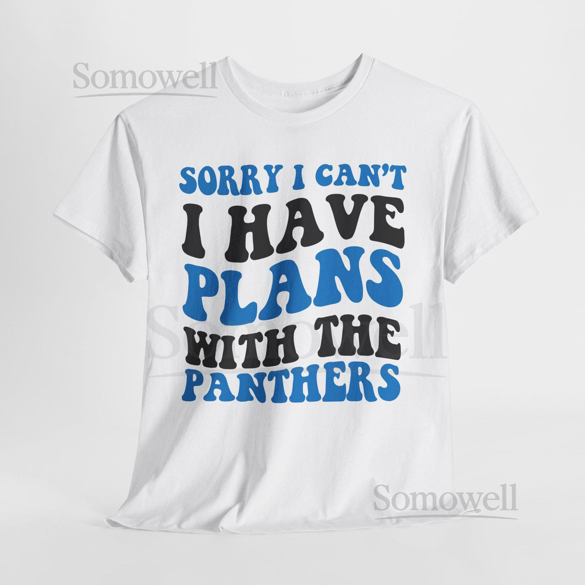 Sorry I Can't I Have Plans With Carolina Football Shirt Panthers Fan Tee Black and Blue Game Day Top_857
