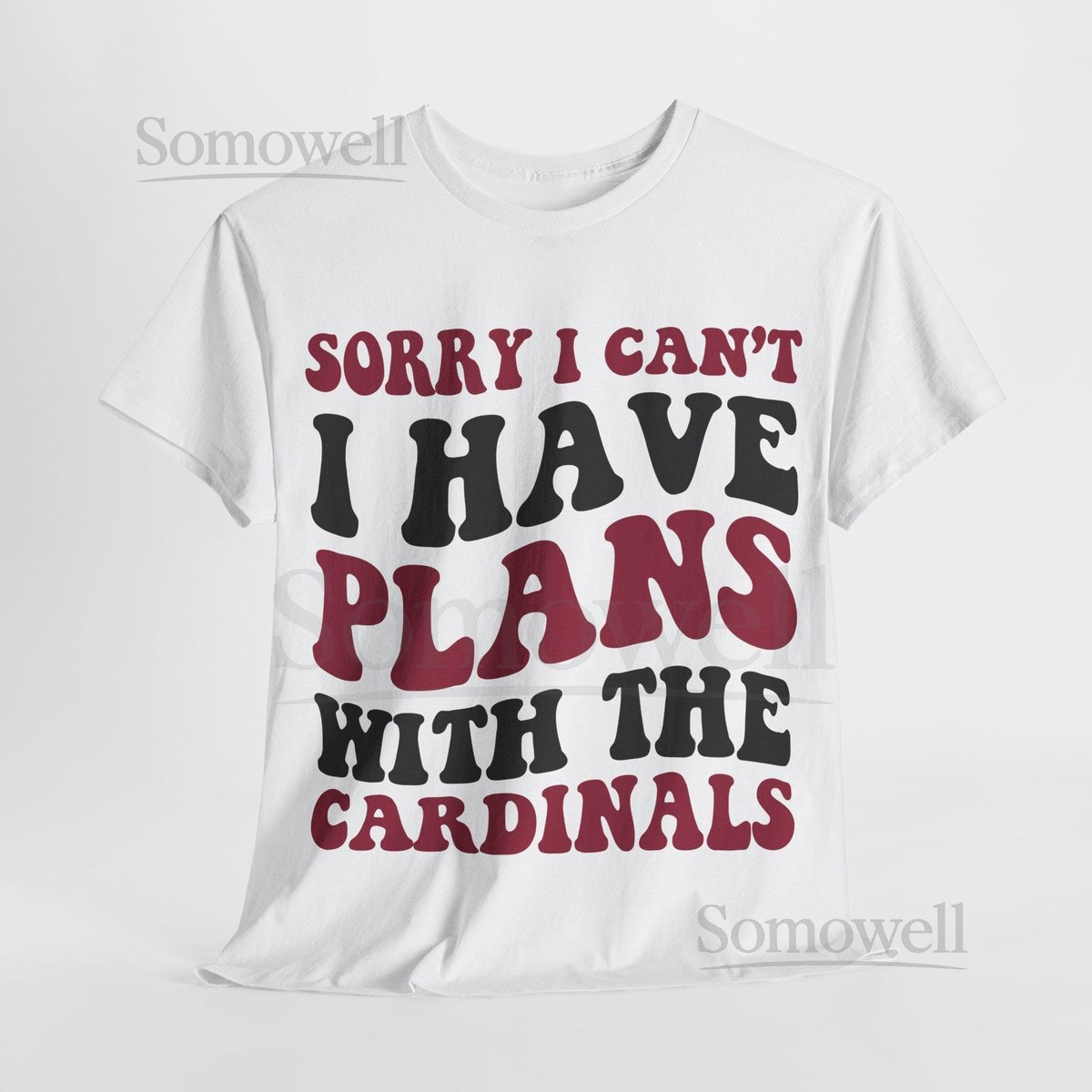 Sorry I Can't I Have Plans With Arizona Football Shirt Cardinals Fan Tee Red and Black Game Day Top_856