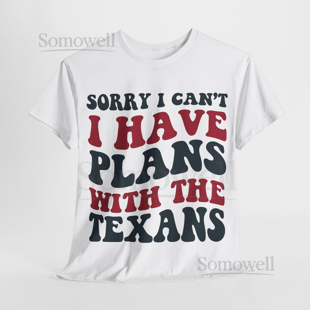 Sorry I Can't I Have Plans With Houston Football Shirt Texans Fan Tee Blue and Red Game D_830