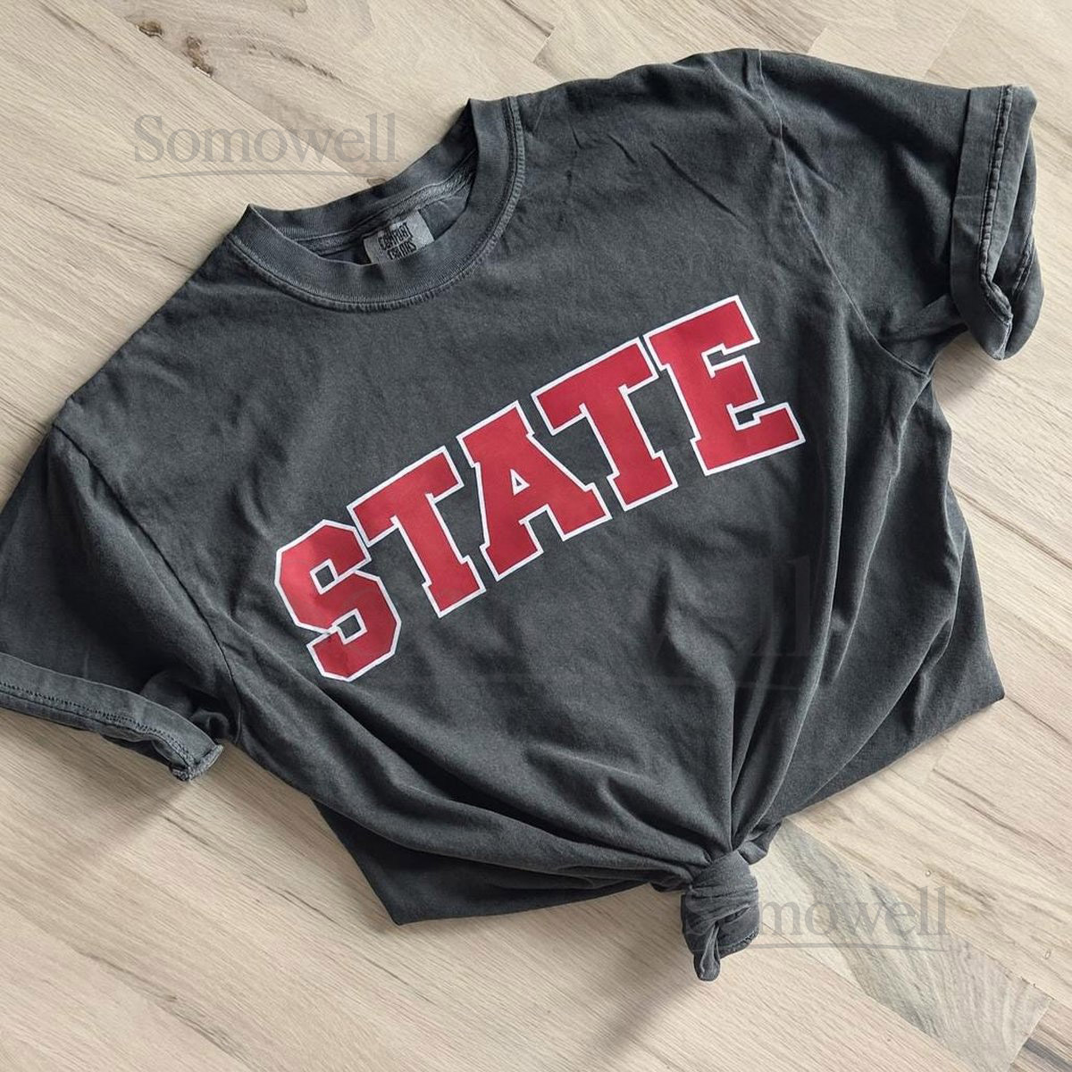 Comfort Colors STATE T-Shirt Distressed Collegiate Style_101