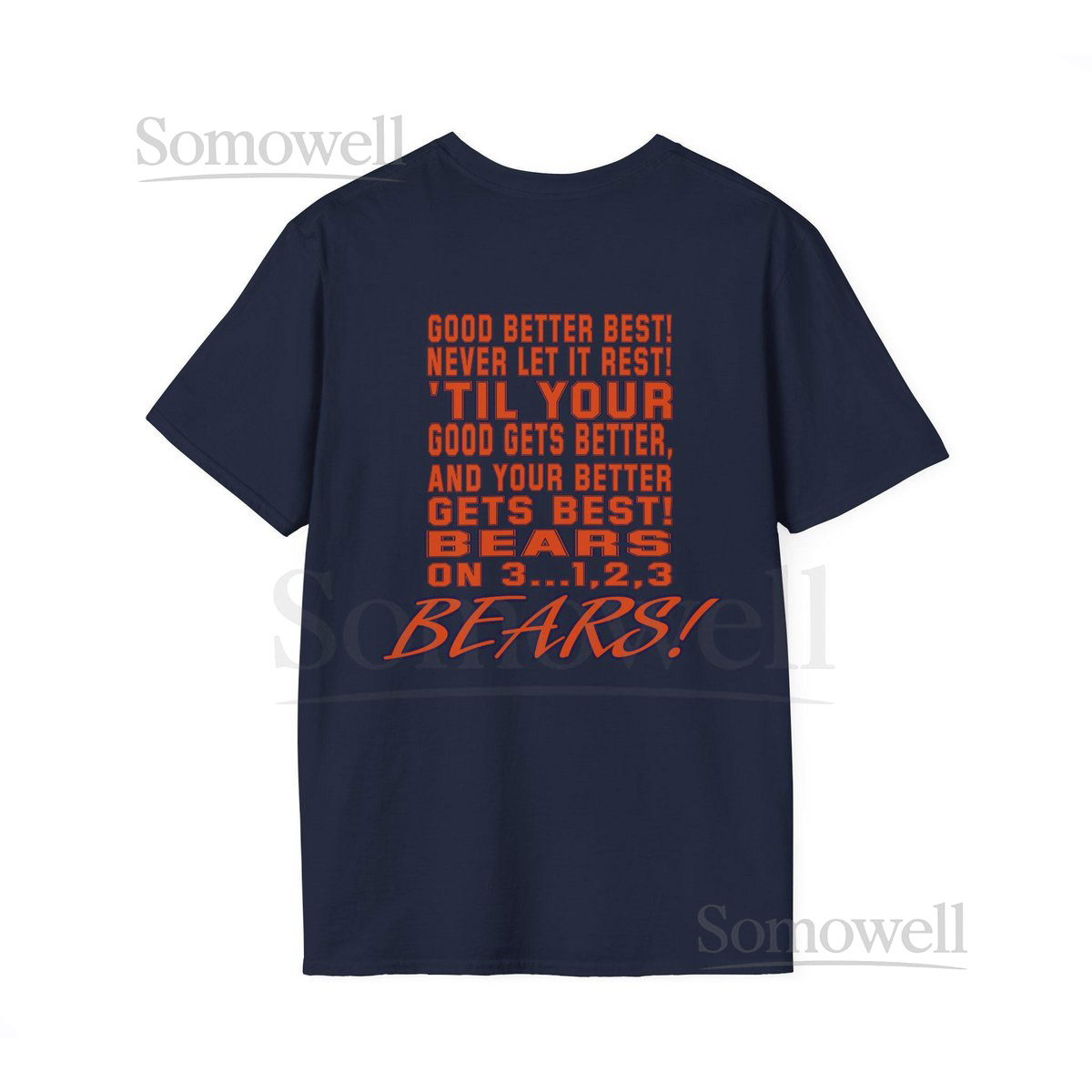 Motivational Bears T-Shirt Inspirational T-Shirt Gift for HimHer Positive Quote Tee Softstyle Shirt_796