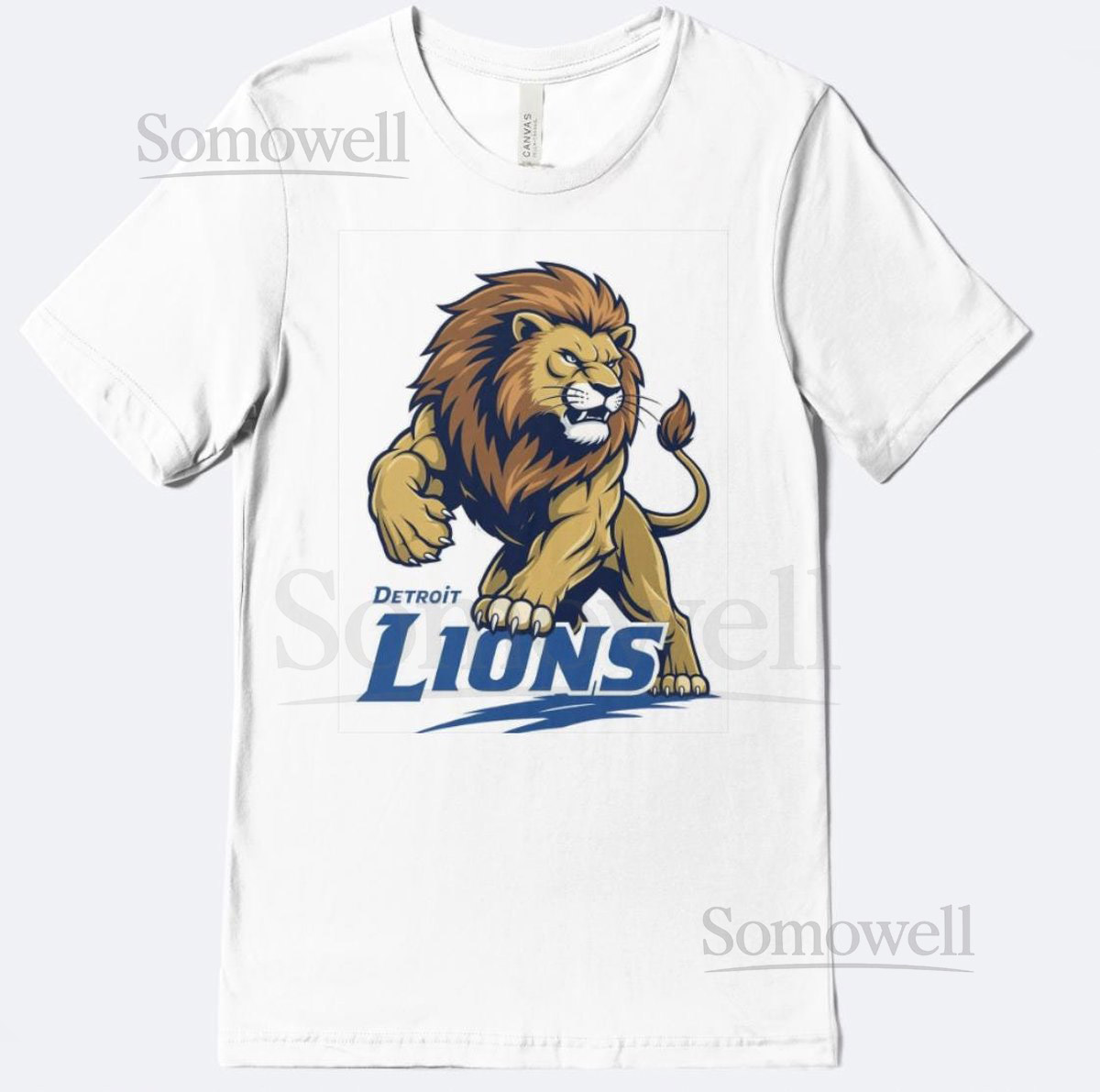 Detroit Lions T-Shirt Vintage Football Fan Gift_307
