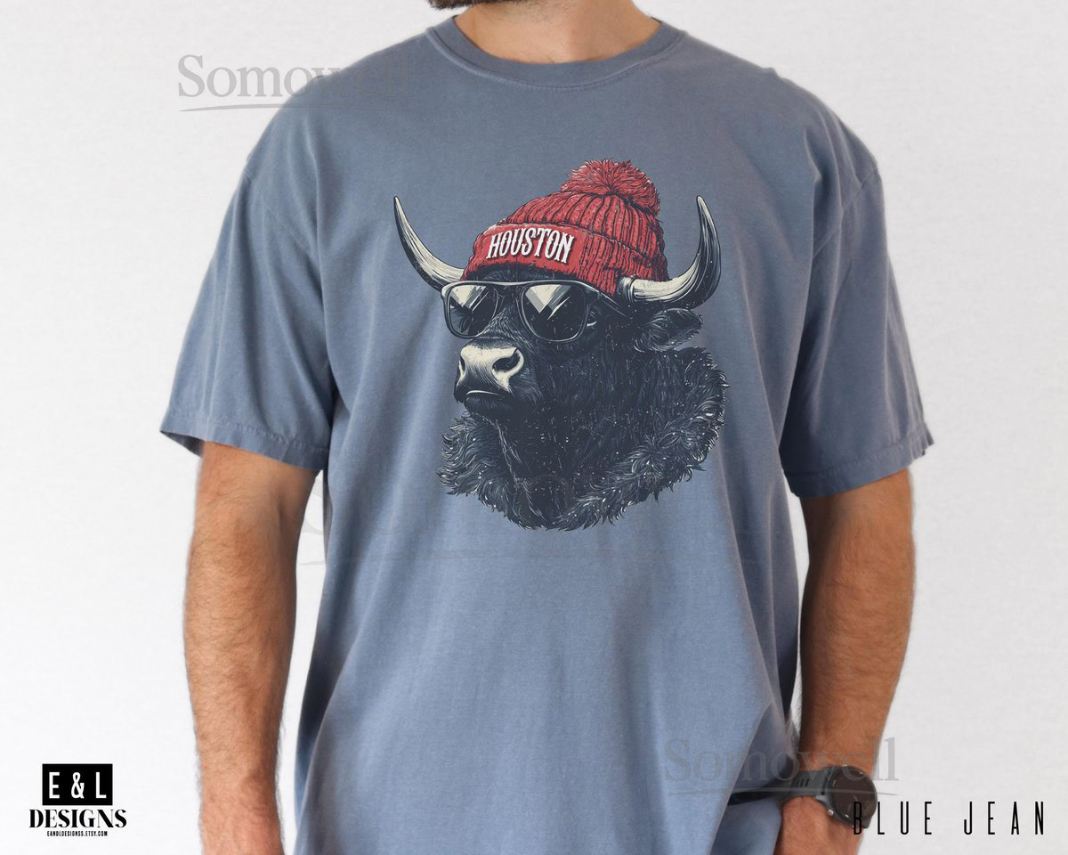 Houston Football Shirt Comfort Color Tee Retro Texans Shirt Gift For Football Fan Trendy Football Shirt Spirit Animal Sport_241