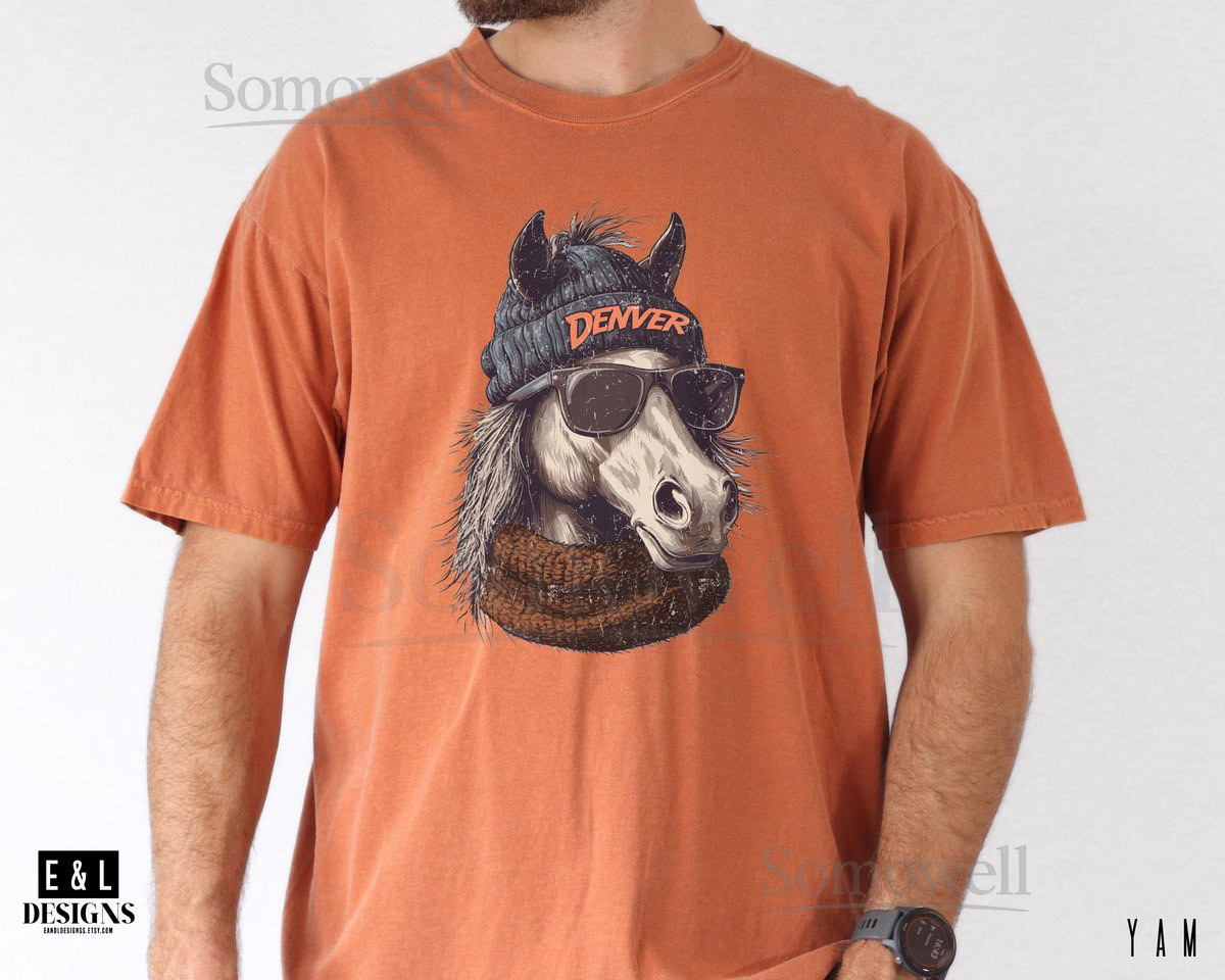 Denver Football Shirt Comfort Color Tee Retro Broncos Shirt Gift For Football Fan Bronco Shirt Trendy Football Shirt Spirit Animal_348