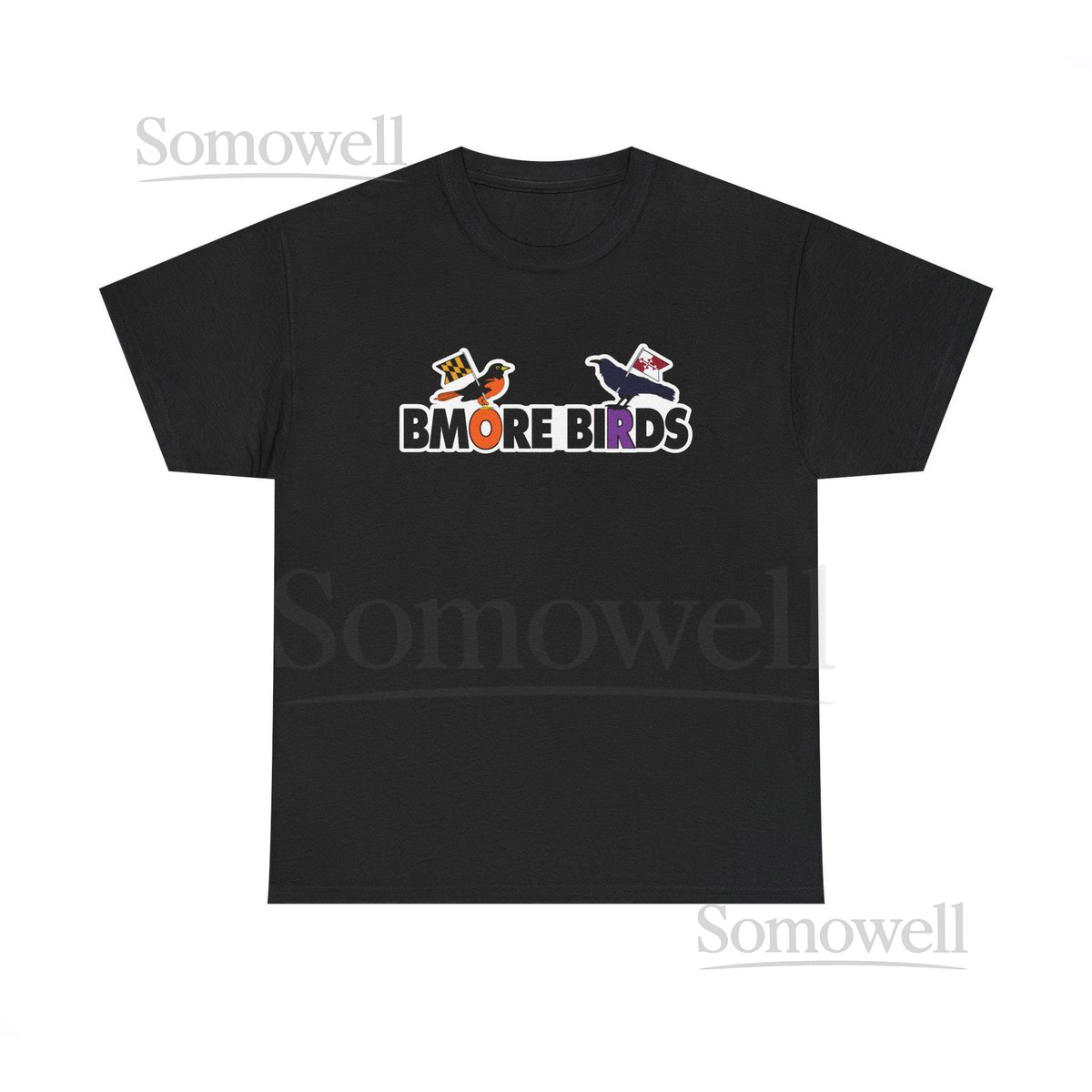 T-Shirt Bmore Birds Ravens and Orioles Design_566