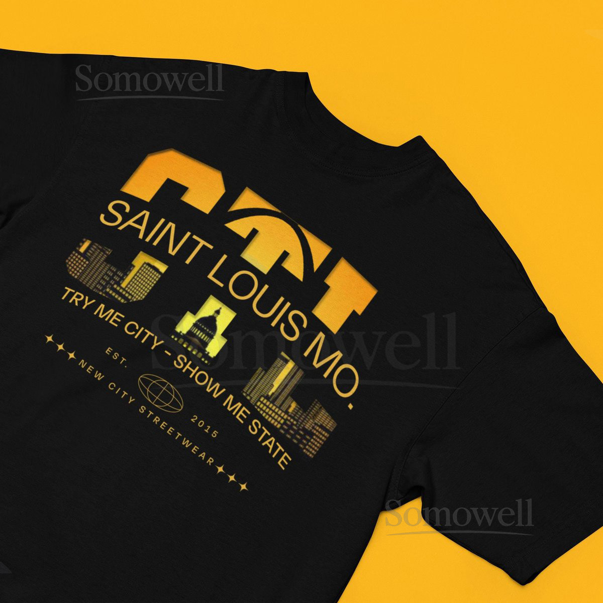 St. Louis City Graphic Tee Unisex Boxy T-Shirt_522