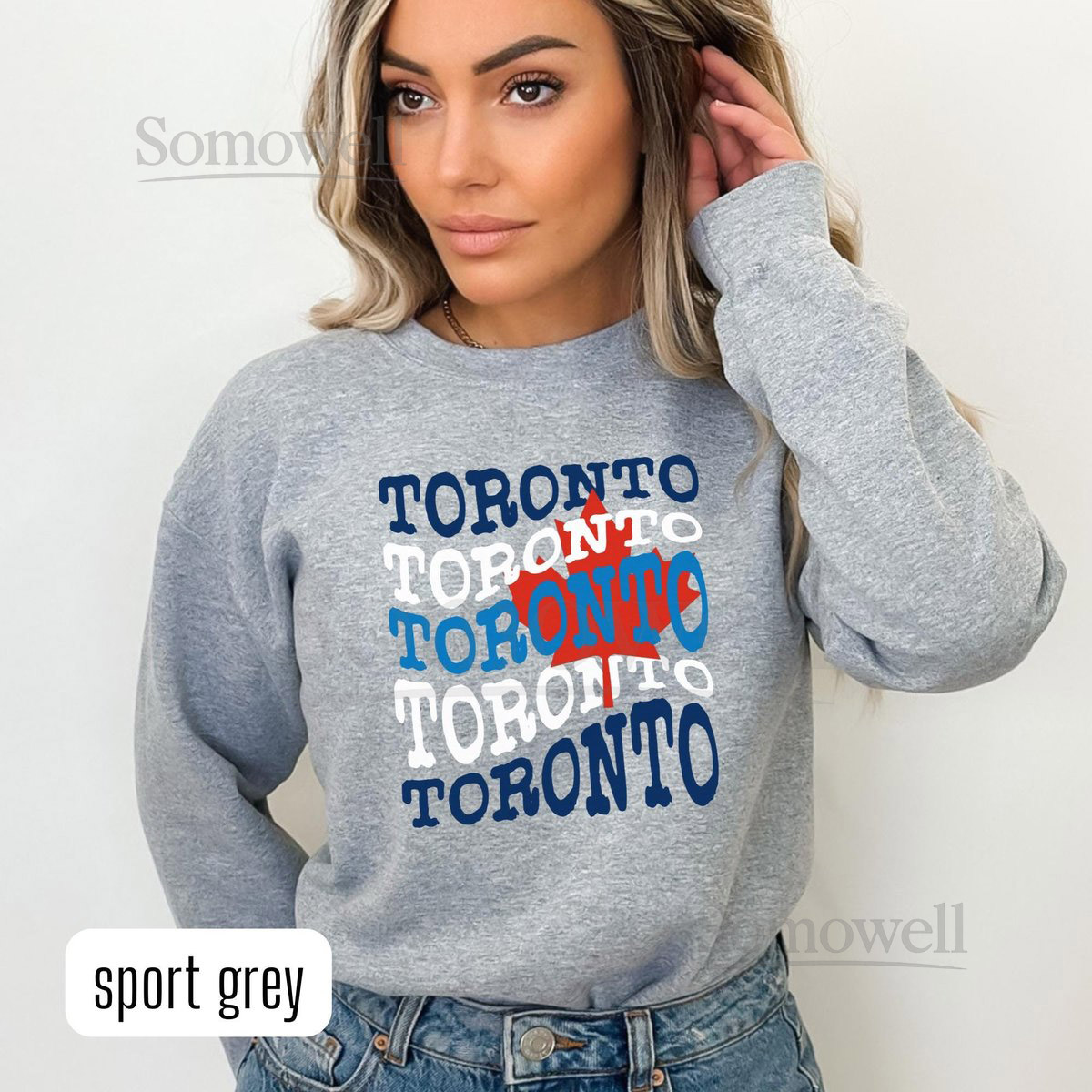 Toronto Baseball Sweatshirt - Unisex Sweatshirt Baseball Team Apparel Sports Lover Crewneck Gift Retro Shirt_841