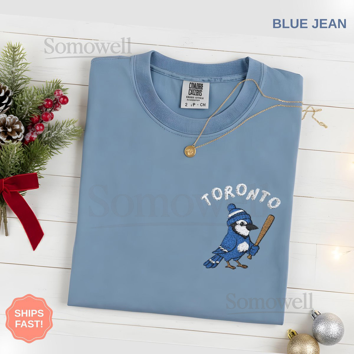 Embroidered Toronto Baseball Shirt Embroidery Blue Jay Bird T-Shirt Canada Baseball Fan Sports Gift Unisex Comfort Colors Tee Men Women_155
