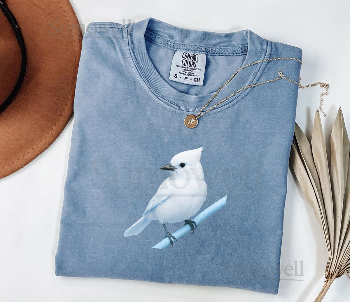 Blue Jay Bird Art Minimalist Albino Songbird Illustration Nature Wall Decor for Bird Lovers_64